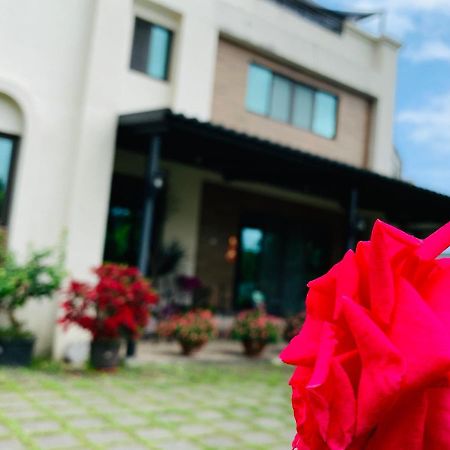 Jifun Flower Meanings 지안 외부 사진