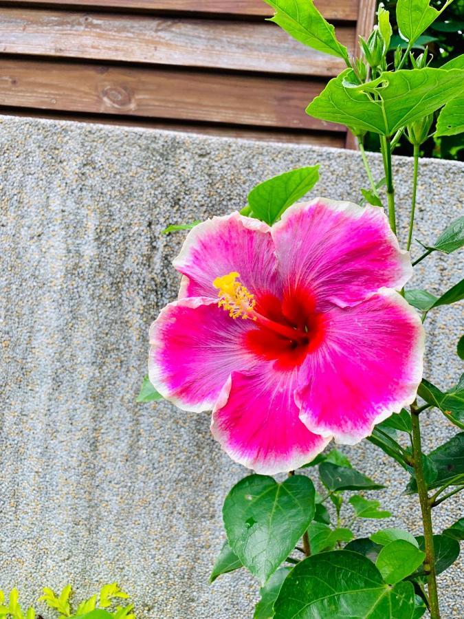 Jifun Flower Meanings 지안 외부 사진